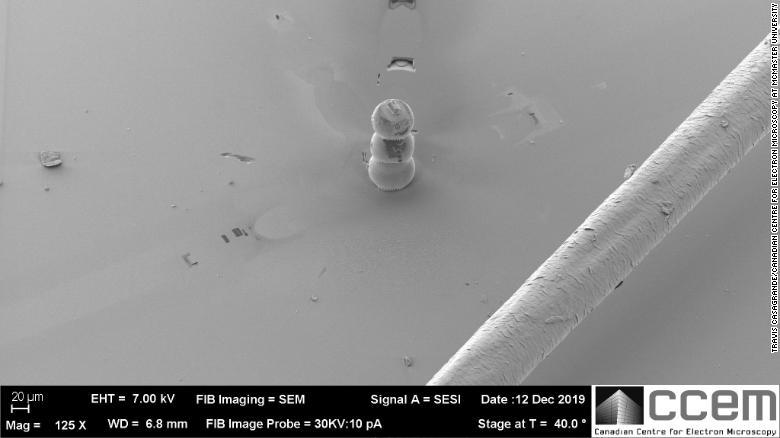 丸太のように太い髪の毛との比較画像/Travis Casagrande/Canadian Centre for Electron Microscopy at McMaster University