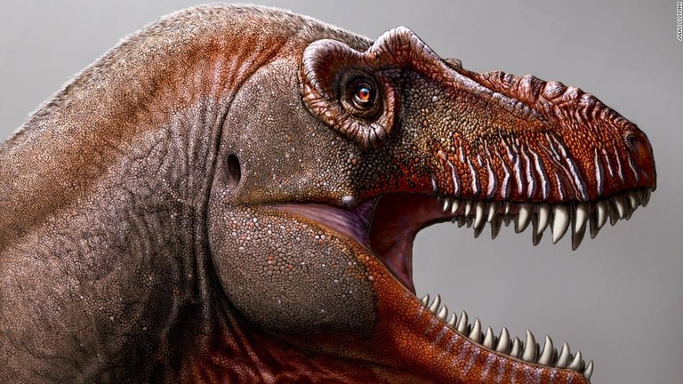 新種の恐竜のイメージ図/Julius Csotonyi