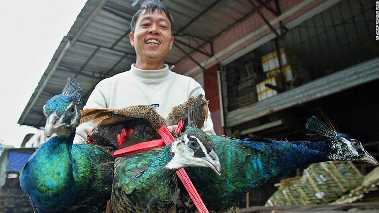 広州にある野生動物の市場で３羽のクジャクを売る男性/LIU JIN/AFP via Getty Images