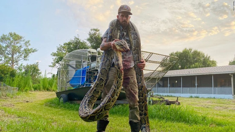 米フロリダ州で体長１７フィート（約５．２メートル）のビルマニシキヘビが捕獲された/Mike Kimmel