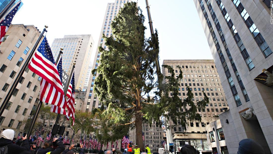 ロックフェラーセンターのクリスマスツリーは１４日に到着し、クレーンで固定された/Cindy Ord/Getty Images