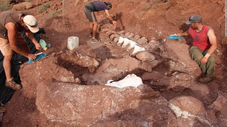 アルゼンチン北西部のパタゴニア地域で巨大な恐竜の化石が発見された/Alejandro Otero and José Luis Carballido
