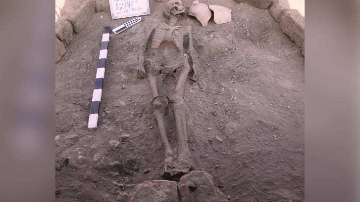 埋葬された人骨も見つかった/From Dr. Zahi Hawass/Facebook