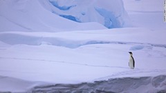 １９９２～２０１７年にかけ、南極では２兆７０００億トンの氷が消滅した