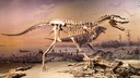 恐竜は小惑星衝突の１０００万年前からすでに「衰退」　新研究