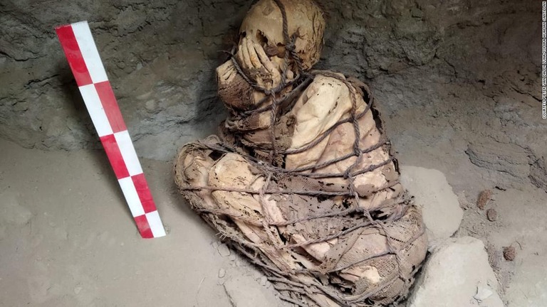 南米ペルーのカハマルキージャで、推定８００年から１２００年前のミイラが発見された/Courtesy Pieter van Dalen Luna/Yomira Huamán Santillan