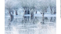 氷結したイタリア北部の湖の写真が、一般愛好家の選ぶ大賞を獲得