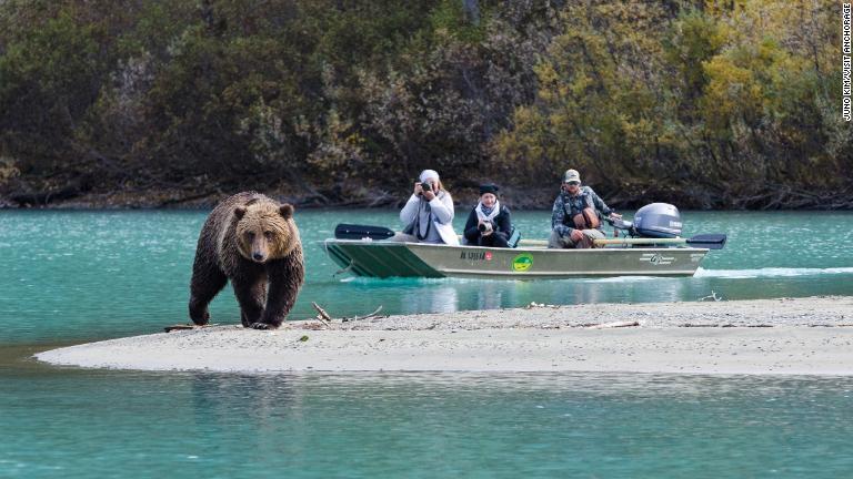 クマなど野生生物を目にすることもできる/Juno Kim/Visit Anchorage