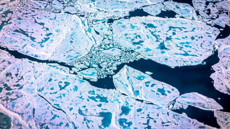 米テキサス大学らの研究の一環で撮影された北極の海氷＝７月１９日/Kerem Yucel/AFP/Getty Images