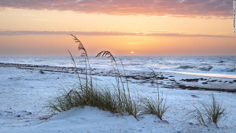 フロリダ州の「忘れ去られた海岸」/H J Herrera/Adobe Stock