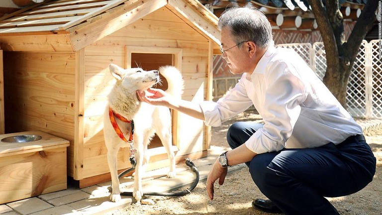 北朝鮮から贈られた犬「コミ」をなでる文在寅氏/South Korea Presidential Blue House/AP