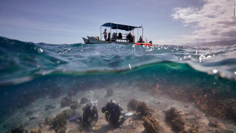 水上には調査船、水面下にはサンゴ礁に囲まれた海底にケージを設置しようとするダイバー２人の姿が写っている＝フィジー/Andreas Eich