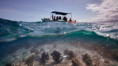 水上には調査船、水面下にはサンゴ礁に囲まれた海底にケージを設置しようとするダイバー２人の姿が写っている＝フィジー