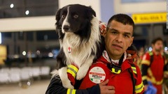 メキシコ、救助犬チームをトルコに派遣　自国の地震災害で実績