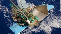 海岸で暮らす生き物、太平洋上のプラスチックごみに生息　外洋で豊かな生態系を形成と研究者