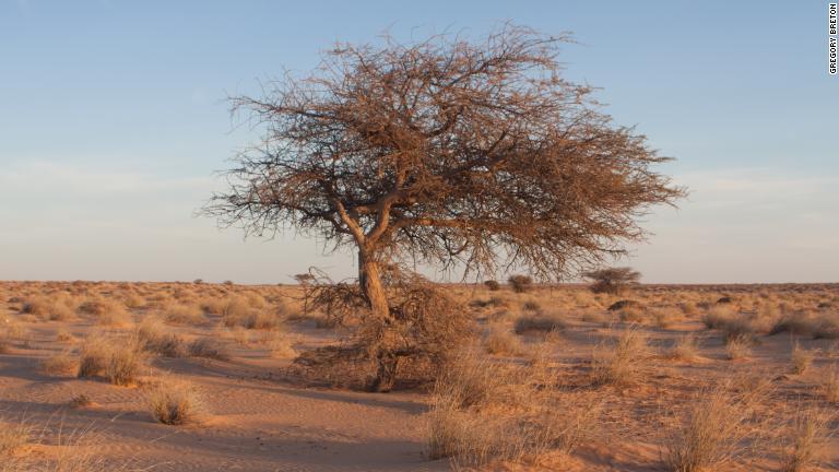 気温５０度に達することもあるモロッコ南部の砂漠で調査は行われた/Grégory Breton