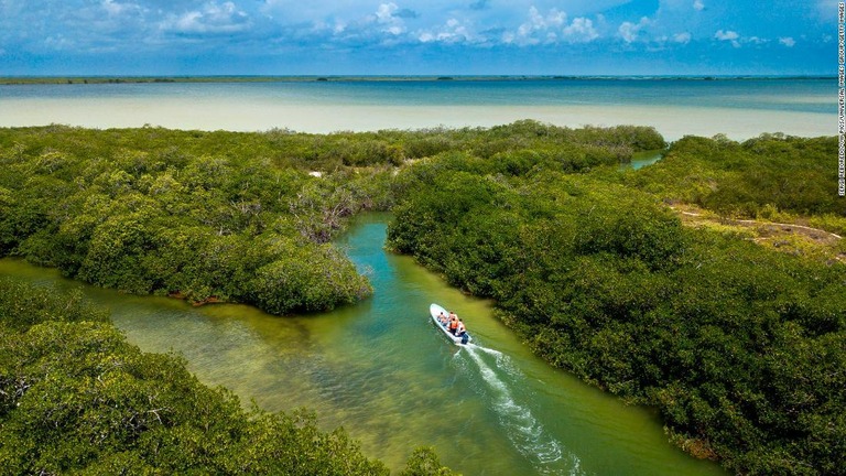 マングローブが生い茂るユカタン半島の保護区を航行するボート/Sergi Reboredo/VW Pics/Universal Images Group/Getty Images