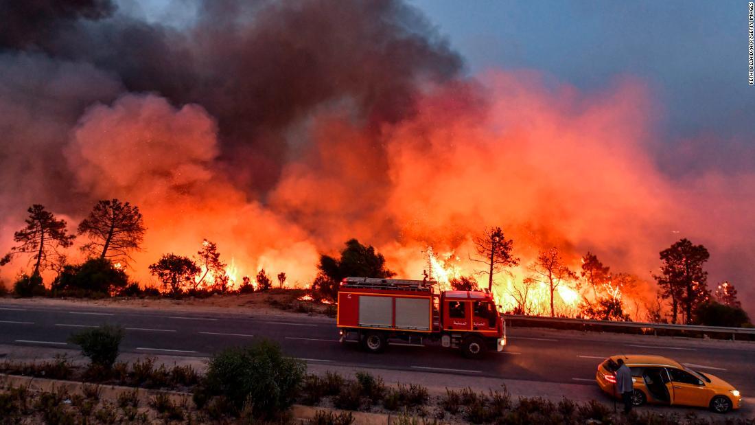チュニジア北西部メロウラ近郊で発生した森林火災＝２４日/Fethi Belaid/AFP/Getty Images