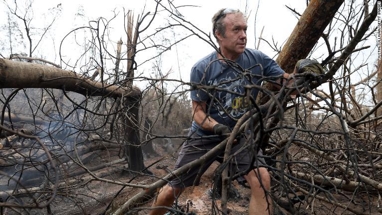 山火事で焼けた木々を除去する男性/Justin Sullivan/Getty Images