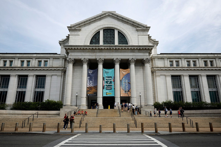 スミソニアン博物館が世界から採取した３０７００の人体部位を保管していることが米紙ワシントン・ポストの調査で明らかになり同館事務局長が謝罪した/Chip Somodevilla/Getty Images