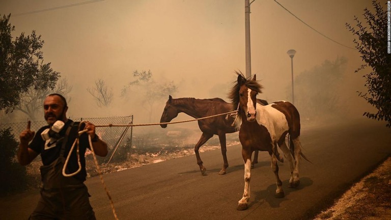 ギリシャ・アテネ郊外で発生した山火事から馬を避難させる男性/Angelos Tzortzinis/AFP/Getty Images