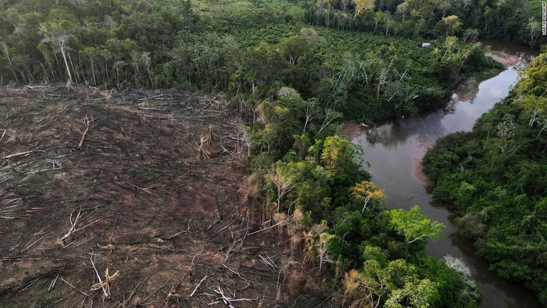 木々が伐採された南米ペルーの密林地帯/Martin Mejia/AP