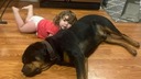 行方不明の２歳女児を保護、愛犬を枕に森でスヤスヤ　米ミシガン州