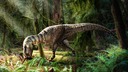 ティラノサウルス科恐竜の「最後の食事」、胃の中にそっくり保存　初の化石発見