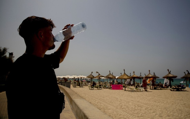 １リットルのペットボトル飲料水に平均２４万個のプラスチック片が検出されたとの研究結果が発表された/Clara Margais/dpa/picture alliance/Getty Images