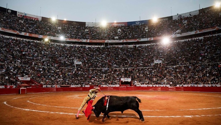 メキシコ市で約２年ぶりに開催された闘牛の様子/Rodrigo Oropeza/AFP/Getty Images