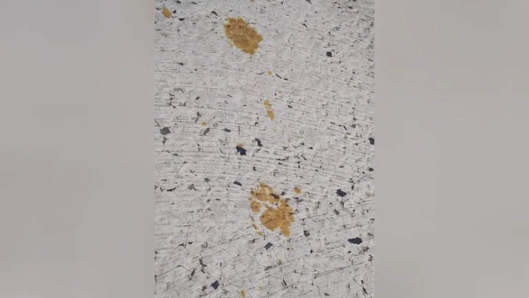 有害物質「六価クロム」の槽に落ちた猫のものとみられる足跡/Nomura Plating/AFP/Getty Images