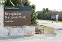 男性が大型ワニにかまれ負傷　米エバーグレーズ国立公園