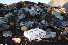 廃棄場に捨てられた食品用段ボール＝２０２２年、米サンフランシスコ