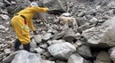 人懐こすぎて警察犬になれなかった救助犬、台湾地震の被災地で活躍　