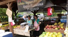 道端の売店では、切りたてのフルーツをひと袋１～３ドルで販売している 写真：MICHAEL MARTINEZ/CAROL SOUDAH