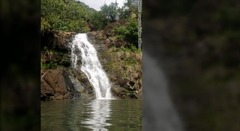 ワイメア植物園の奥にある滝。ここで水泳を楽しむこともできる　写真：MICHAEL MARTINEZ/CAROL SOUDA