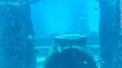 米フロリダ州沖の「ネプチューン・メモリアル・リーフ」は、墓地として作られた人工サンゴ礁だ (C) BLUE FEATURE NEPTUNE MEMORIAL REEF