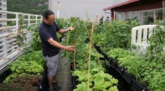 農園を運営する実業家のラムさん。香港では推定約３００カ所にこうした農園がある