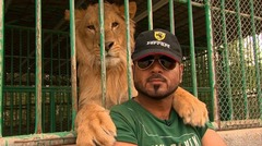 保護されたライオンの「テイモール」とジャシム・アリさん