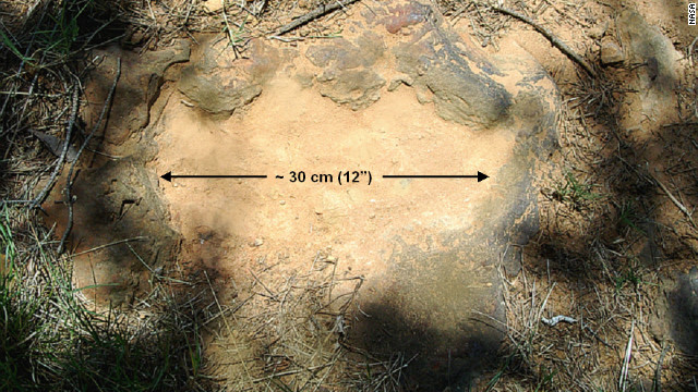 およそ１億１０００万年前に生息していた草食恐竜「ノドサウルス」の足跡？　写真提供＝NASA