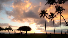 米大統領選の州別投票率　ハワイは４４％、４９位タイ