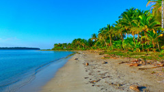 予算をおさえた旅行ならパナマのひっそりとしたビーチがおすすめ　(C)MARISSA STRNISTE