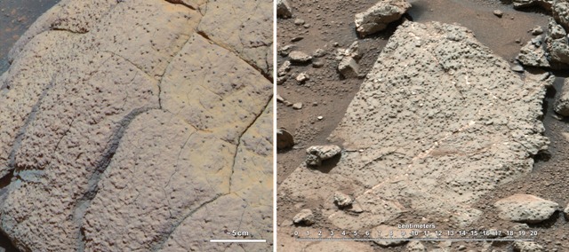 キュリオシティが撮影した火星の岩石（右）。左はオポチュニティが撮影した岩石＝NASA/JPL-Caltech/Cornell/MSSS提供