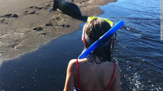 ガラパゴス諸島を訪れると、動物たちが人間を恐れることなく、いかにして進化を遂げてきたかが分かる