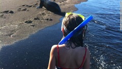 ガラパゴス諸島を訪れると、動物たちが人間を恐れることなく、いかにして進化を遂げてきたかが分かる