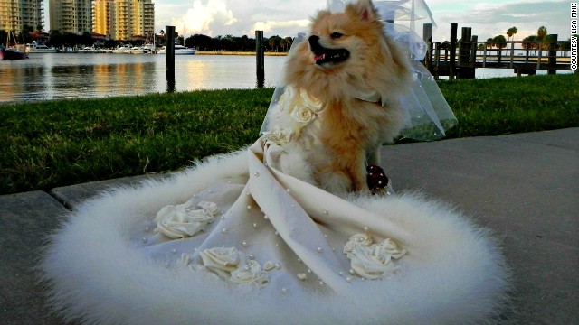 この夏に米フロリダ州タンパで結婚式を挙げるタジ