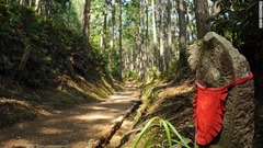 世界遺産に登録されている巡礼路は、スペインのサンティアゴ・デ・コンポステーラ<br />
と熊野古道の２カ所だけだ<br />
