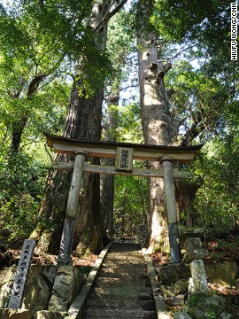 古道沿いに点在する小さな神社のひとつ、継桜（つぎざくら）王子。この地域は豊かな自然とともに降水量の多さで知られ、雨の中のハイキングとなることも多い
