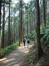 発心門王子と熊野本宮大社をつなぐコースは、手軽なハイキングに最適だ