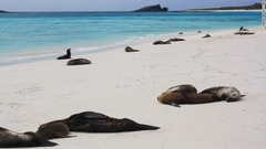 ４ ガラパゴス諸島（エクアドル）　写真＝SARAH REID/CNN